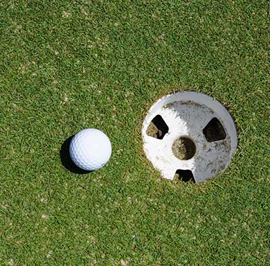 putting greens auckland fake turf