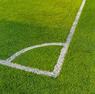 sports turf auckland